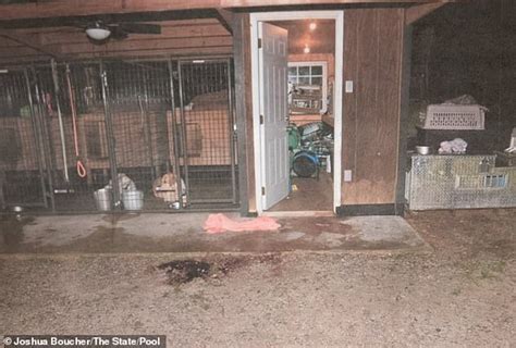 murdaugh murder pics|Chilling photos reveal bloody crime scene where Maggie and Paul ...